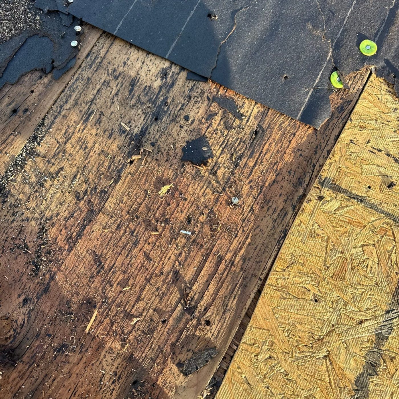 Roof Replacement Hummingbird Dr Boise in Meridian by Roofing Stop
